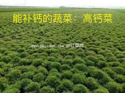 四川會(huì)田源農(nóng)業(yè)有限公司