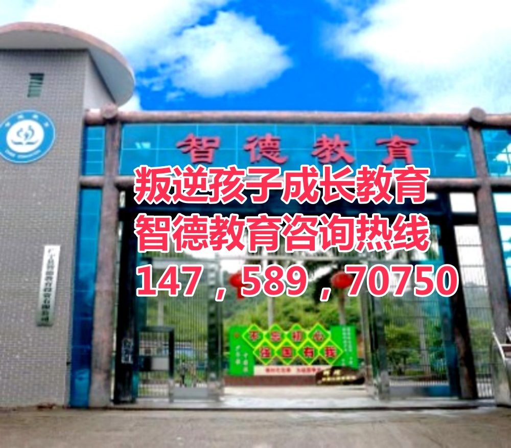 智德教育招生電話14758970750