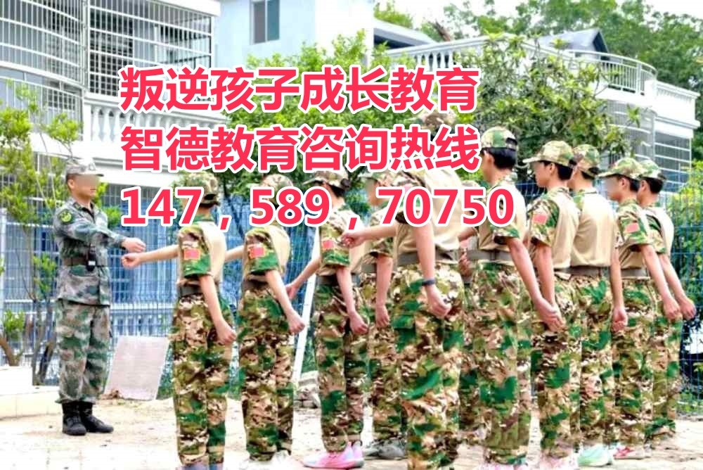 智德教育招生電話14758970750